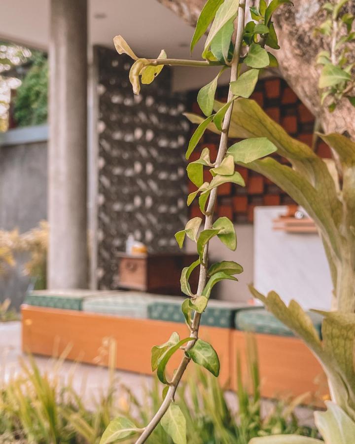 Perissos Echo Beach Canggu Exterior foto